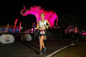 BIB: 
                            <button type="button" onclick="openModal(26534873)" class="btn btn-primary btn-sm float-right btn-popup" data-toggle="modal" data-target=".modal-high-quality">
                        <i class="fas fa-shopping-cart"></i> Add to Cart
                    </button>
                                            <button type="button" onclick="isThisMe(26534873, true)" class="btn btn-success btn-sm float-right btn-popup btn-isme hidden" data-toggle="tooltip" data-placement="bottom" title="นี่คือรูปของคุณใช่ไหม คลิกที่นี่เพื่อเอาเข้าอัลบั้ม">
                        <i class="fas fa-plus"></i> Add to album
                    </button>
                    <button type="button" onclick="isThisMe(26534873, false)" class="btn btn-warning btn-sm float-right btn-popup btn-isnotme hidden">
                        <i class="fas fa-ban"></i> Remove from album
                    </button>